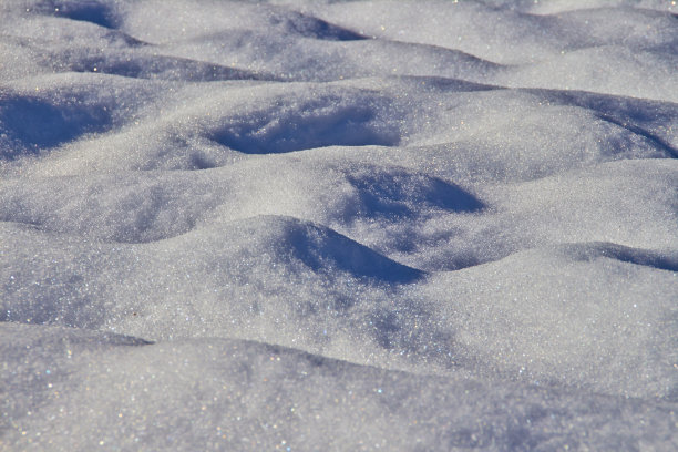 雪地上的影子图片下载