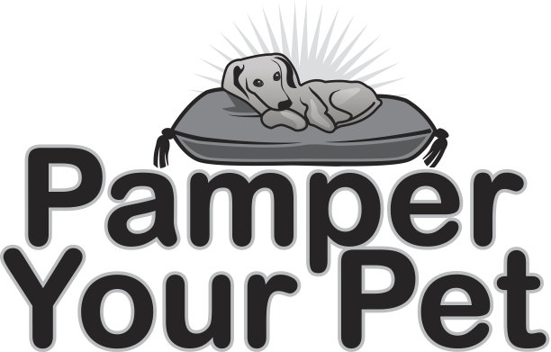 宠爱宠物标题图片下载