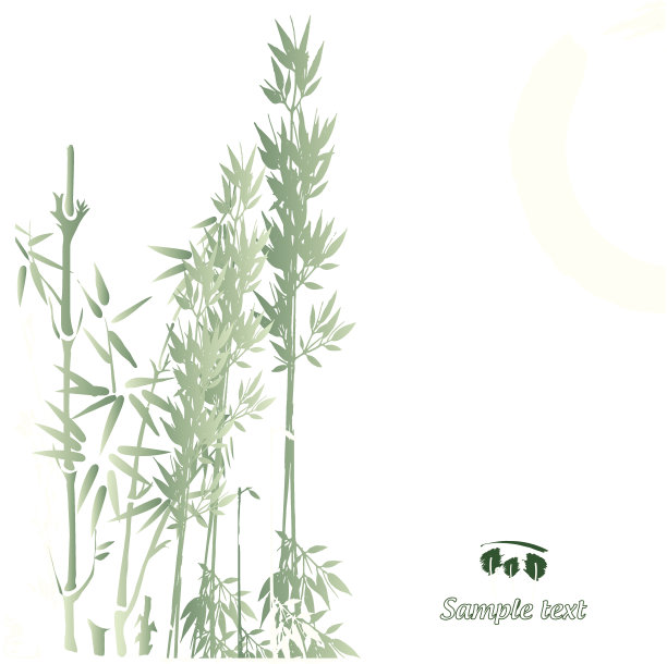 绿色的竹子分支图片下载