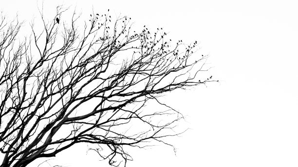 数据的安全性图片下载