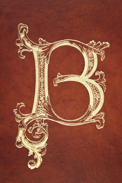 字母B在皮革上图片下载