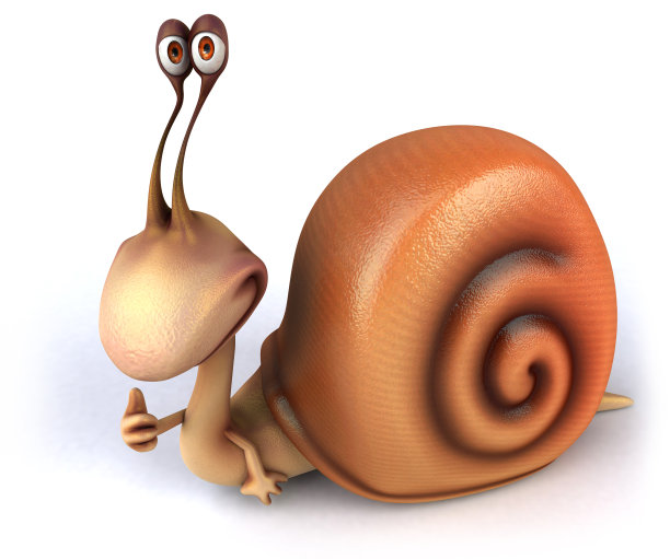 有趣的蜗牛图片下载