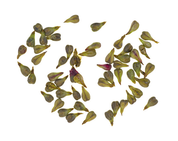 葡萄籽素材图片