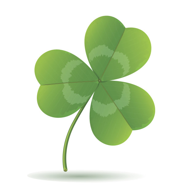 三叶草图片下载