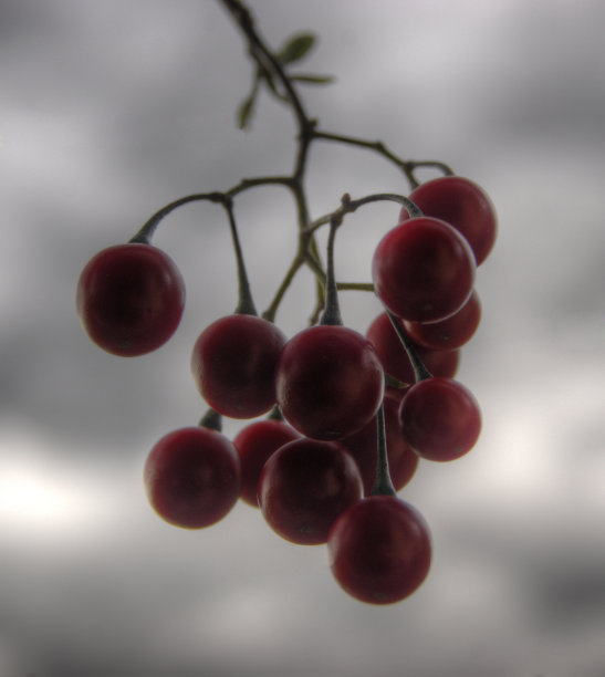 忧郁和美丽图片下载