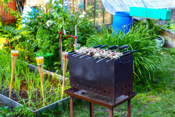 花园里正在烤制猪肉串图片下载