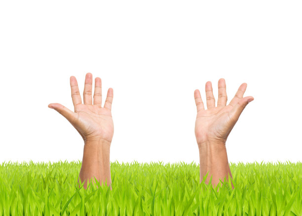 两只手张开，绿色的田野和白色的背景图片下载