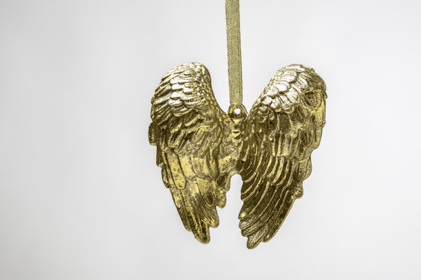 天使的翅膀图片下载