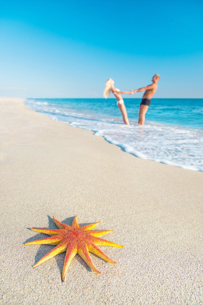 情侣在沙滩上与红色的海星图片下载