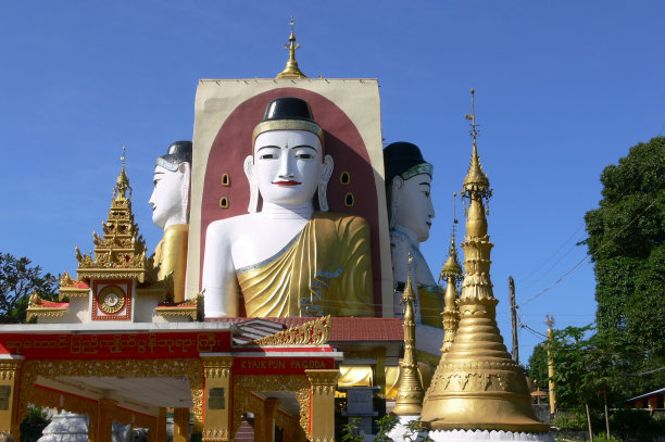 缅甸巴戈的木瓜田图片下载