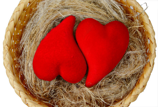 舒适的窝图片下载