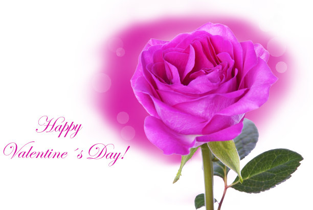 情人节快乐图片下载