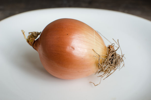洋葱图片下载