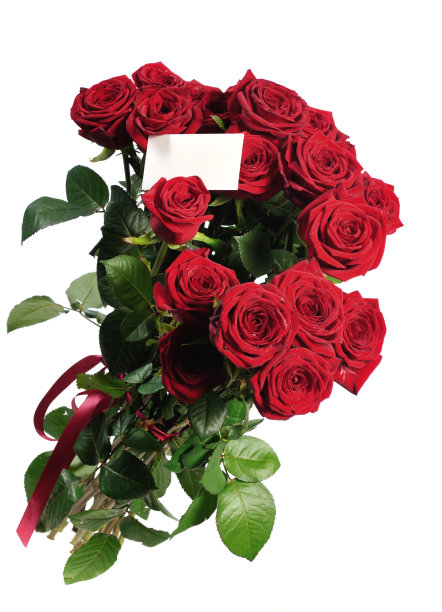 一束红玫瑰图片下载