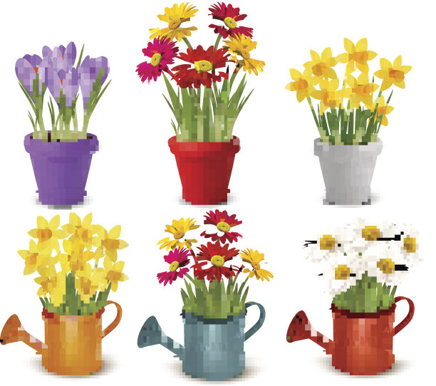 收集春夏缤纷的鲜花图片下载