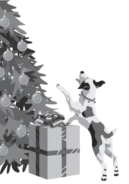 狗现在图片下载