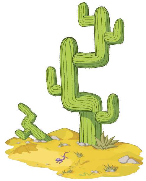 沙漠里的仙人掌图片下载