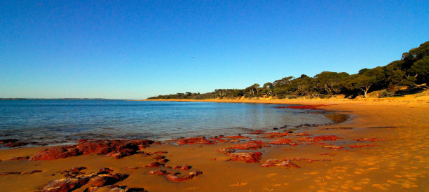 红色岩石海滩。图片下载