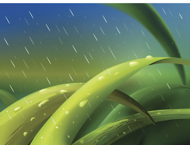草在雨中图片下载