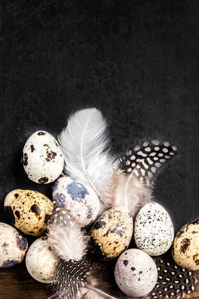 鹌鹑蛋与白色羽毛在vintage黑色划伤图片下载