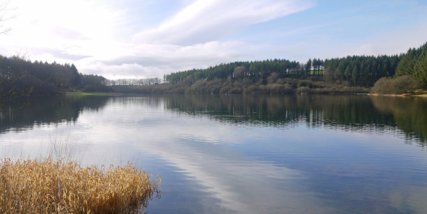 Wistlandpound水库图片下载