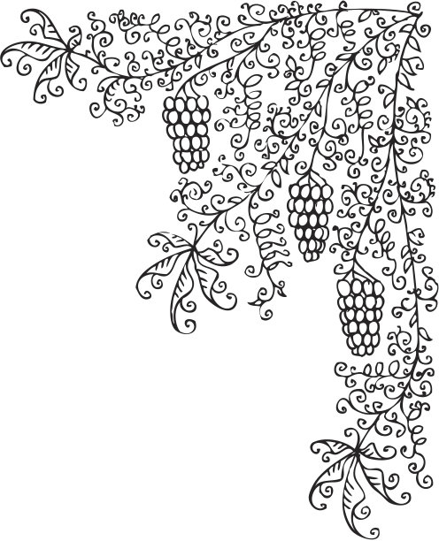 水果藤小插图CCXXXIX图片下载