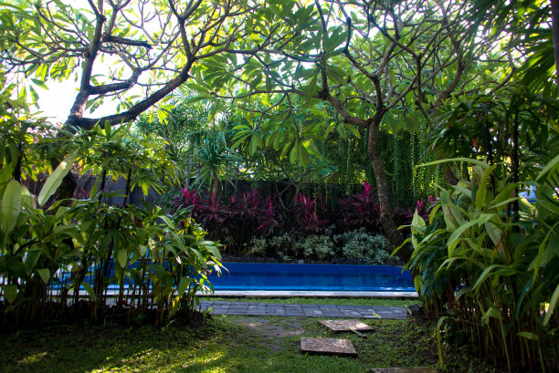 花园和游泳池图片下载