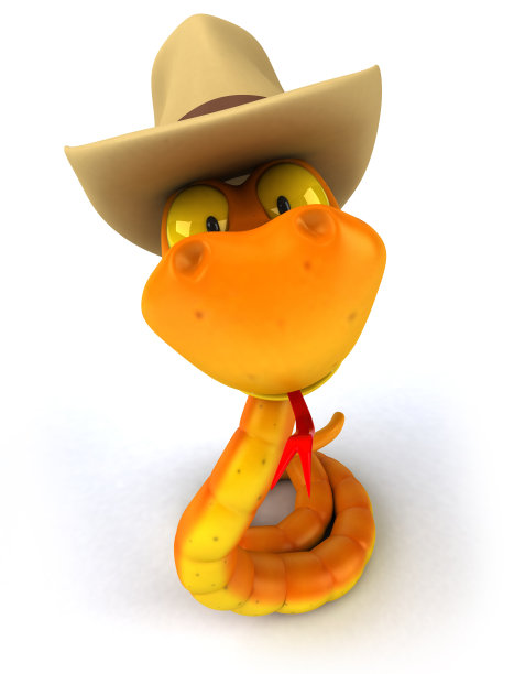 有趣的蛇图片下载