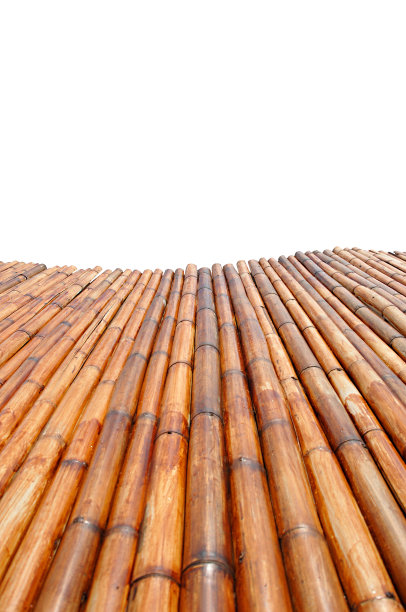 竹子的茎干图片下载