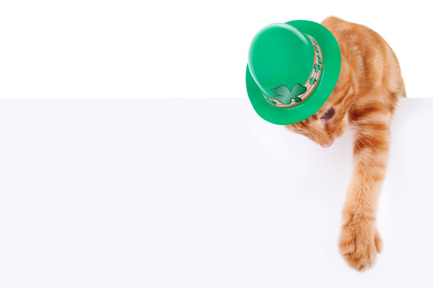 圣帕特里克节的标志或横幅图片下载