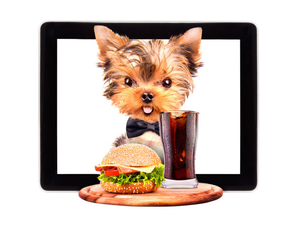 狗拿着托盘，上面放着食物的药片图片下载