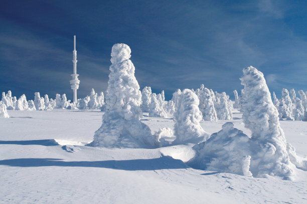 雪覆盖的梳理图片下载