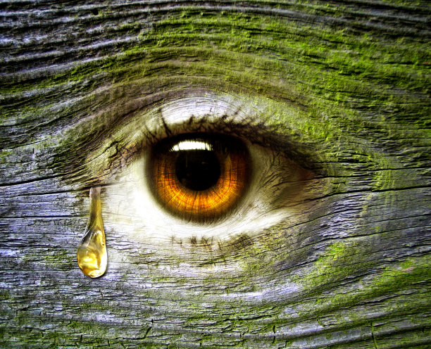 大自然之眼图片下载