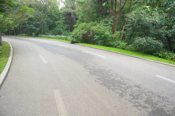 森林之路图片下载