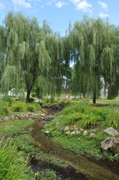 Hecksher Park huntington，纽约图片下载