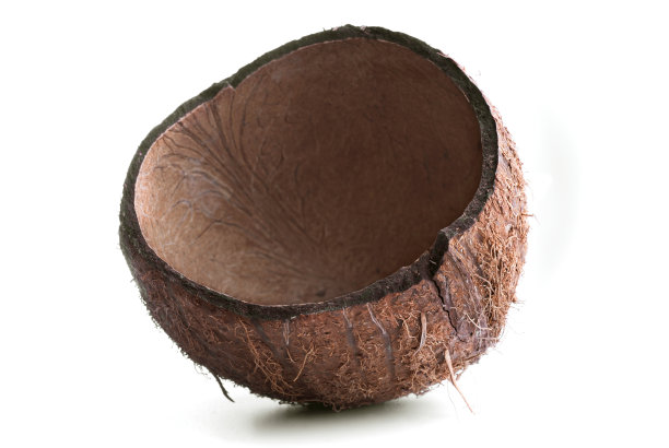 空椰子壳孤立在白色背景图片下载