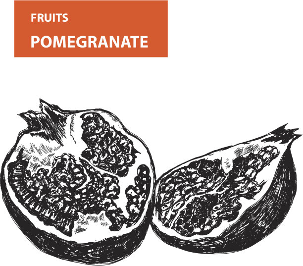 白色背景下的水果特写镜头图片下载