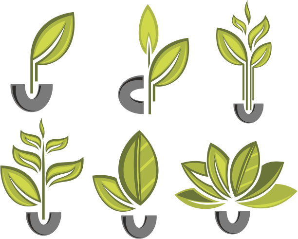 绿色的树叶图片下载