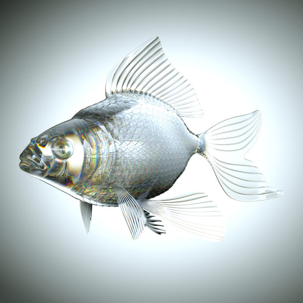 有鳞和鳍的玻璃鱼图片下载