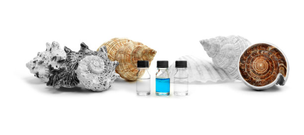 必不可少的水疗中心2图片下载