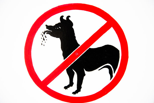 不允许养宠物图片下载