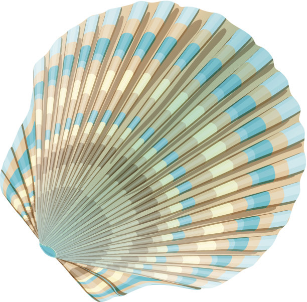 白色背景下的手扇特写镜头素材图片