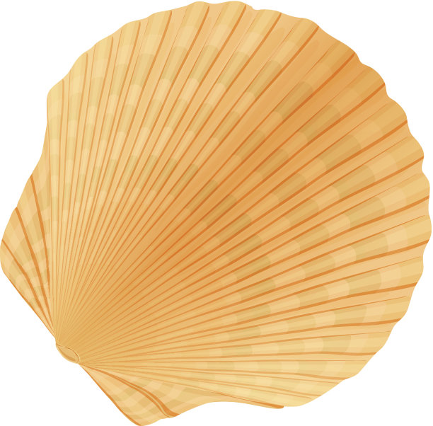 白色背景下的帽子特写镜头素材图片