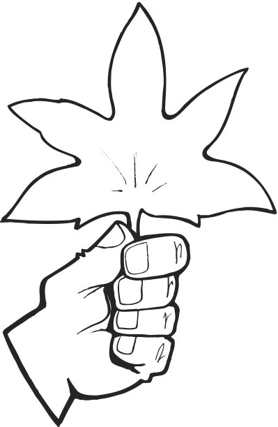 手枫叶图片下载