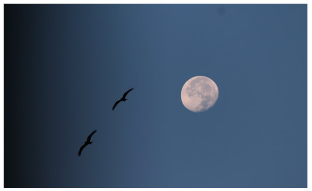 天的月亮图片下载