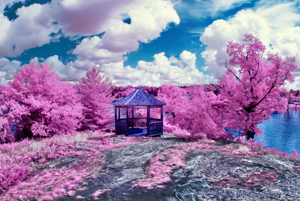 假弹簧图片下载