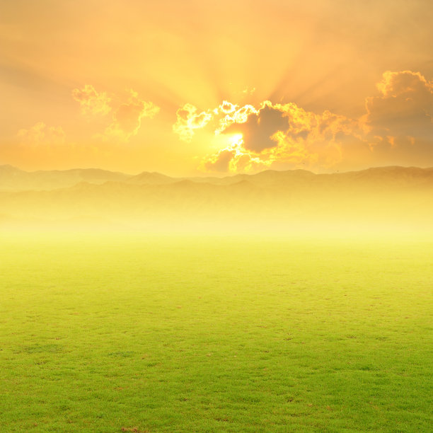 绿色的草地和日落图片下载