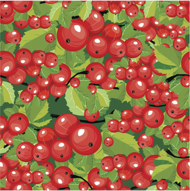 无缝图案红醋栗图片下载