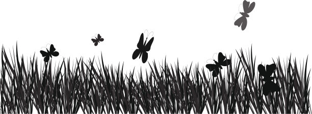 矢草和蝴蝶图片下载