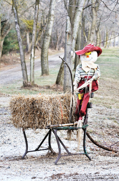 贝尔和稻草人图片下载
